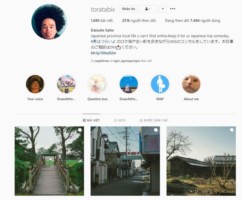 daisuke saito và những bức ảnh về mèo